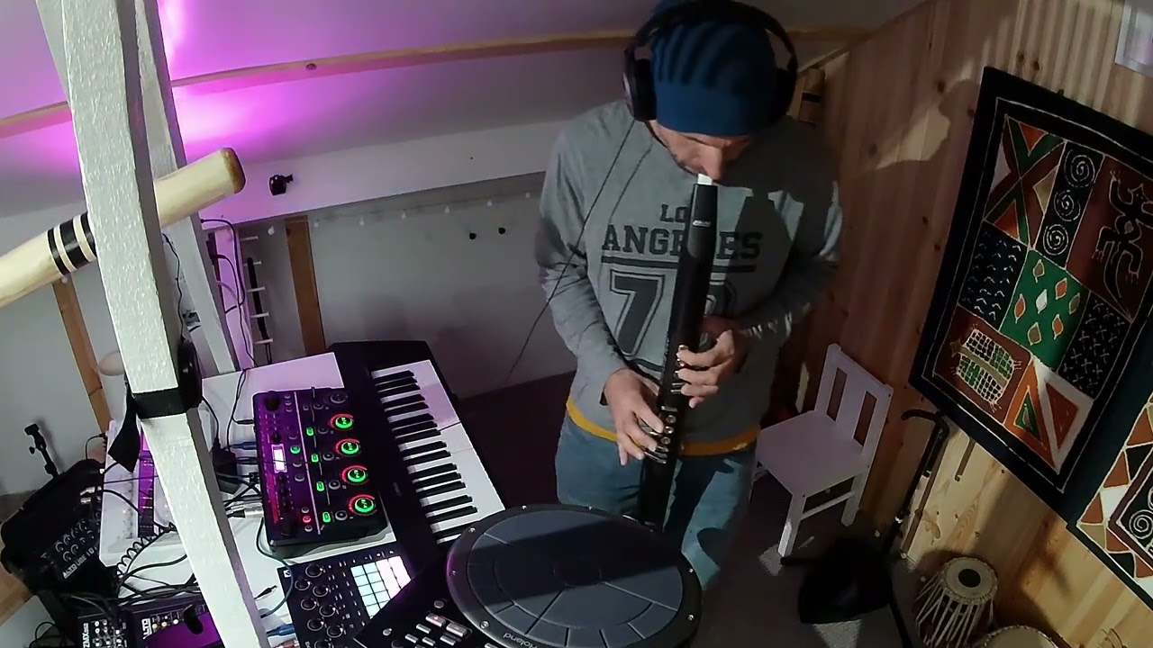 Ambient Live looping Music by Robert Przybyl | Boss RC-505, Akai EWI, Roland Handsonic, Didgeridoo