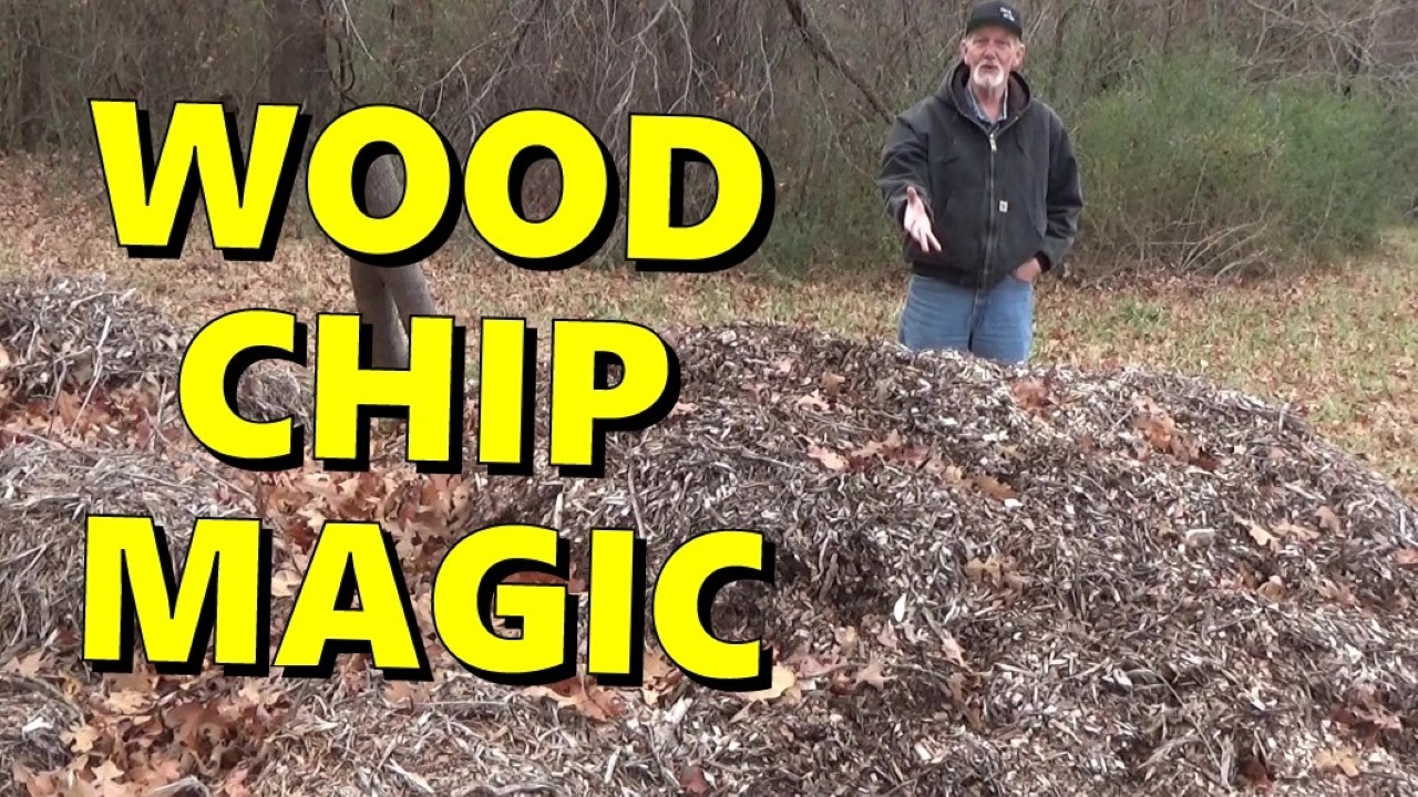 Magic of Wood Chips on Your Garden