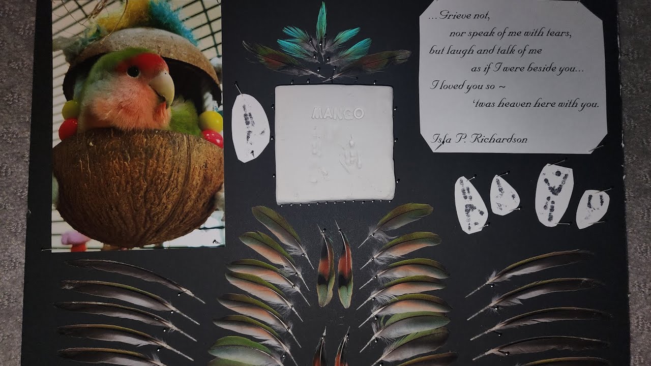 Creating a Memorial for your Pet Bird