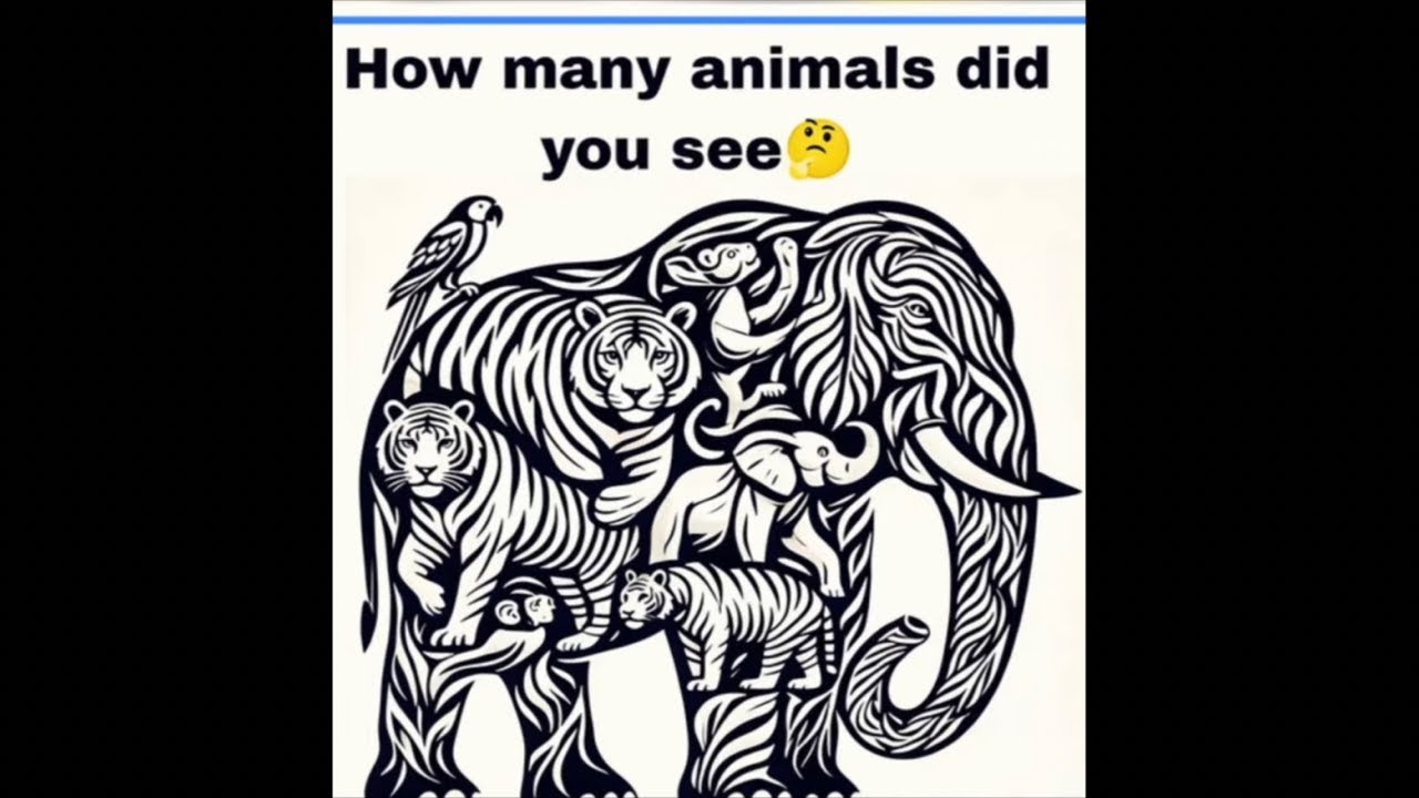 How many animals did you see
