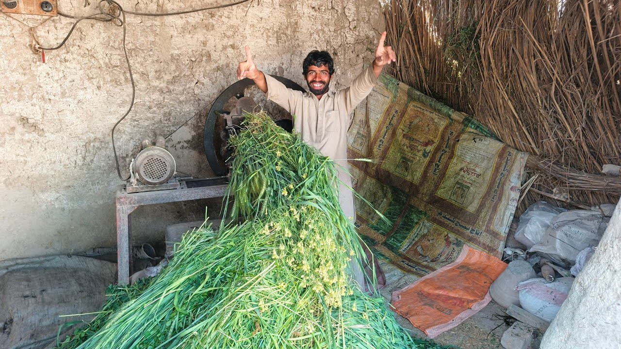 Hard work in village life| Tokaa machine pr aj Current lga 🥱 March 4, 2026