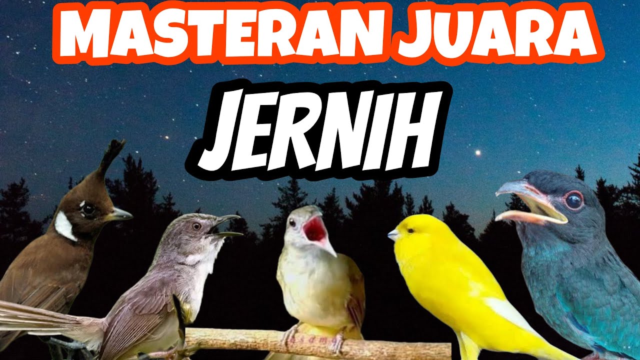 MASTERAN MURAI BATU FULL TEMBAKAN JERNIH MUDAH DITIRU CEPAT MASUK