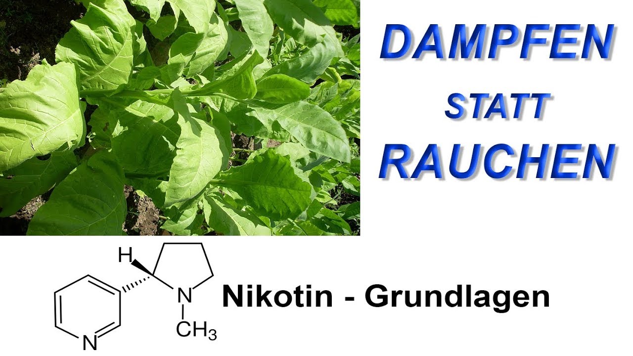 Dampfen statt Rauchen: Teil 2 - Grundlagen der Nikotinwirkung