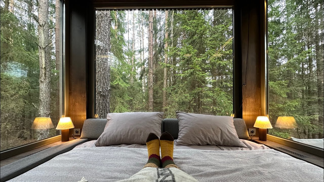 Видеообзор лесных шале Forest house