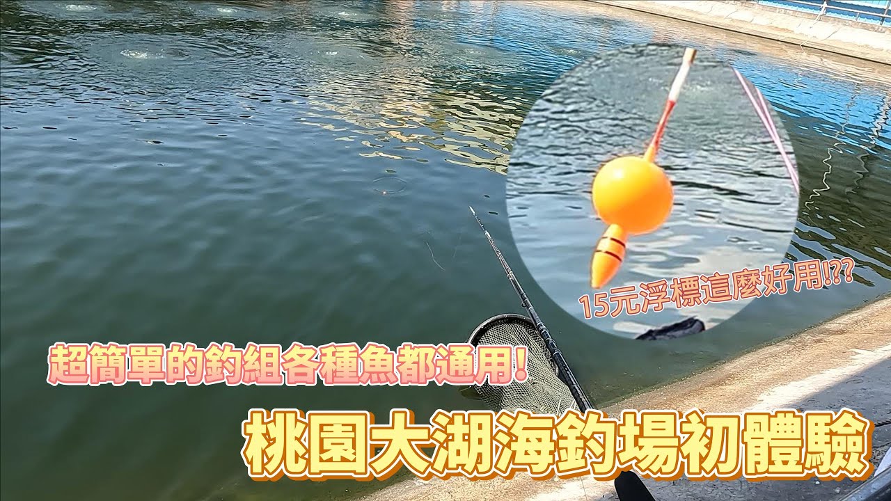 【獵獵釣魚】海釣場簡單又便宜的釣組!?來陌生的釣場用最熟悉的釣組，沒想到照樣正常發揮!#釣魚#海釣場#桃園大湖海釣場#三連鉤