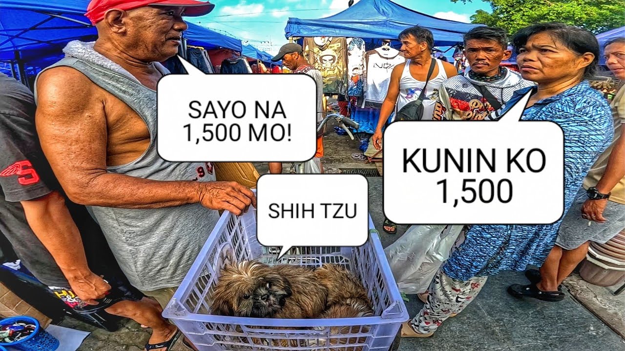 EKSENA SA MALABON AUGUST 10, 2025 | PET TIANGGE