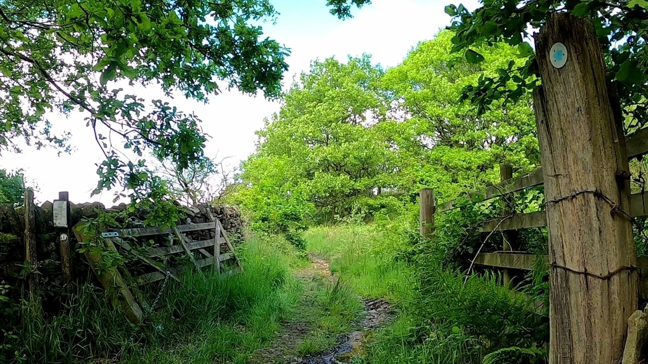 Immersive walk in nature - Wow, didn't expect that on the other side of the gate