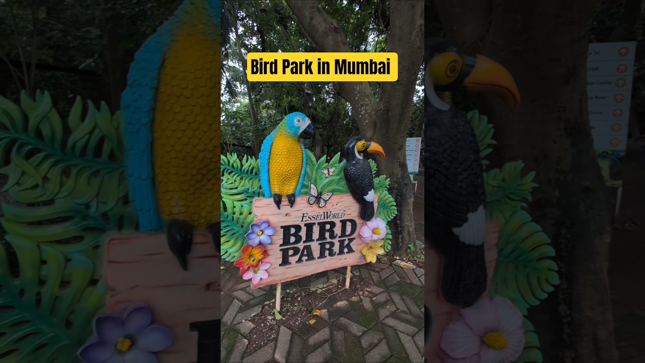 Green Havens & Feathered Friends | EsselWorld Bird Park #shorts #mumbai #esselworld #shortsfeed