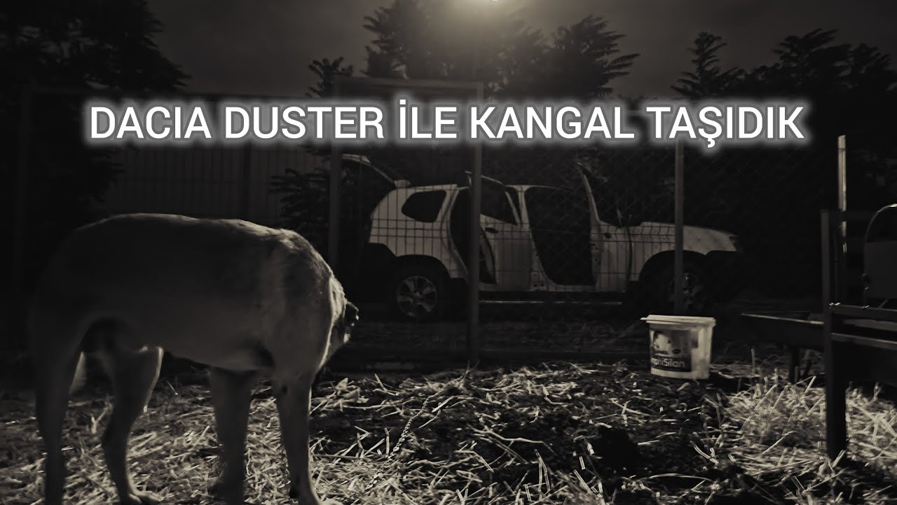DACIA DUSTER İLE KANGAL TAŞIDIK