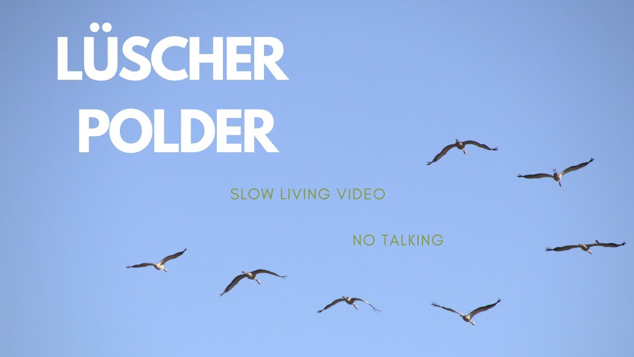 Spaziergang am L&uuml;scher Polder / Slow Living Video