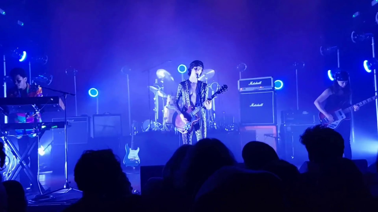 The lemon Twigs Night Song