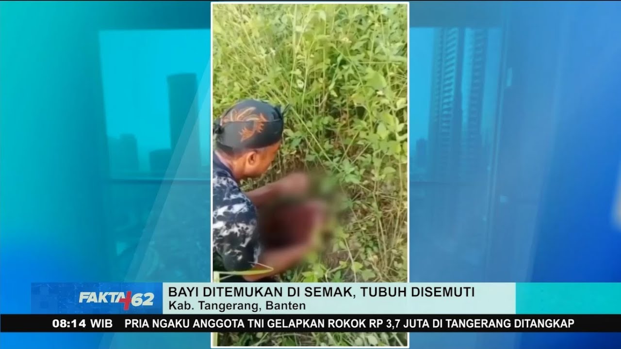 Tega! Ibu Buang Bayi di Semak sampai Dikerubuti Semut