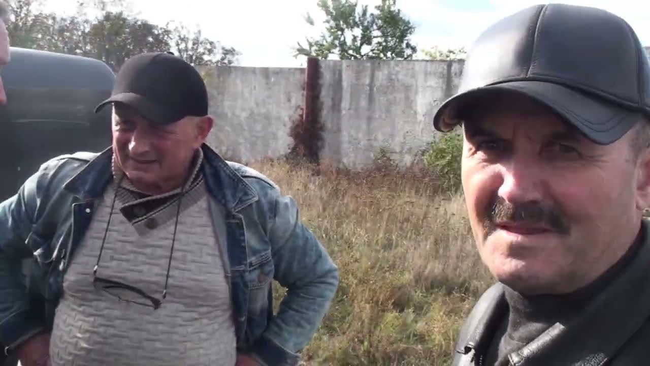 Треновані голуби рідше залітають