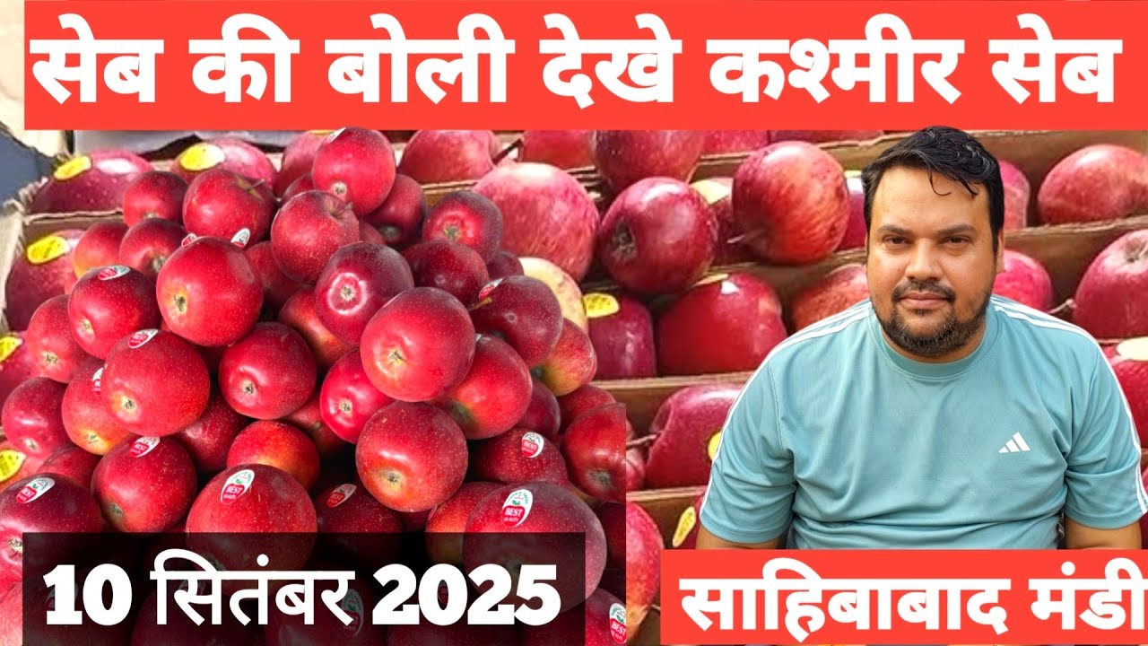 10 सितम्बर 2025 🍎🍏 सेब की बोली देखे साहिबाबाद मंडी | today apple ratse #mandirates #apple #fruit 