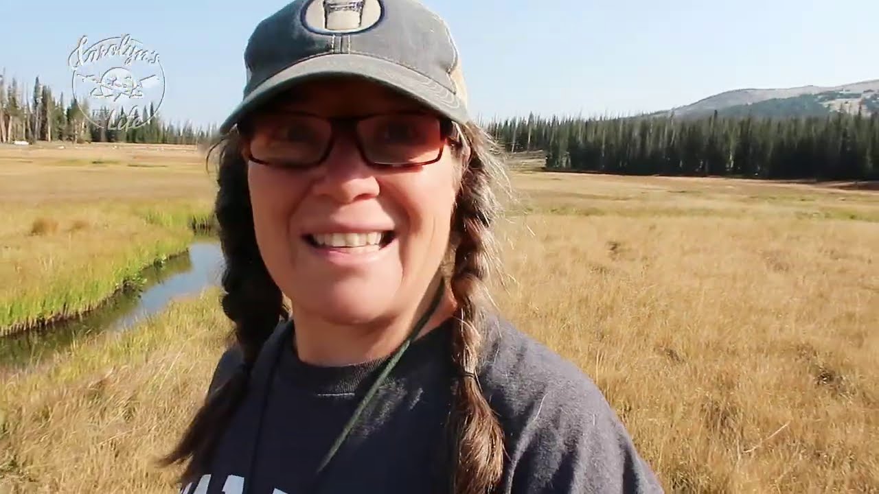 I'm Free! //Wandering Aimlessly in Wyoming