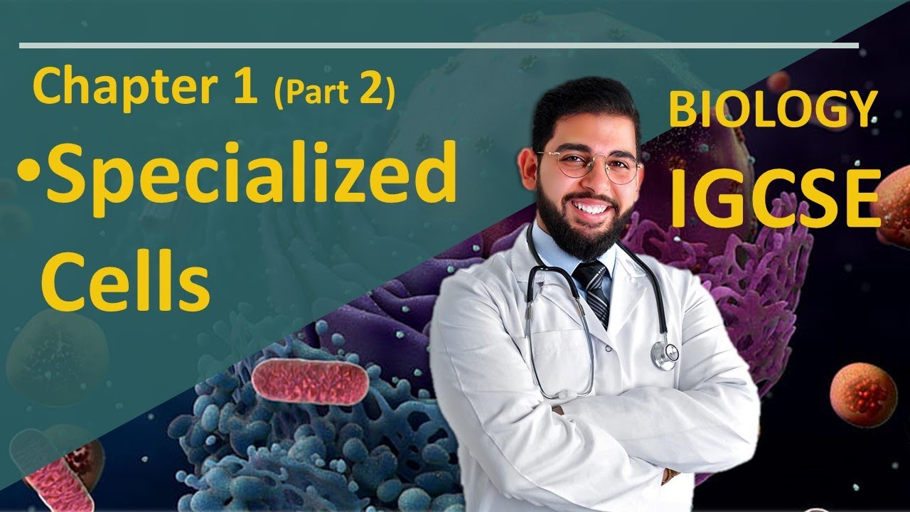 Biology IGCSE Specialized Cells Chapter 1 O.Level and Core