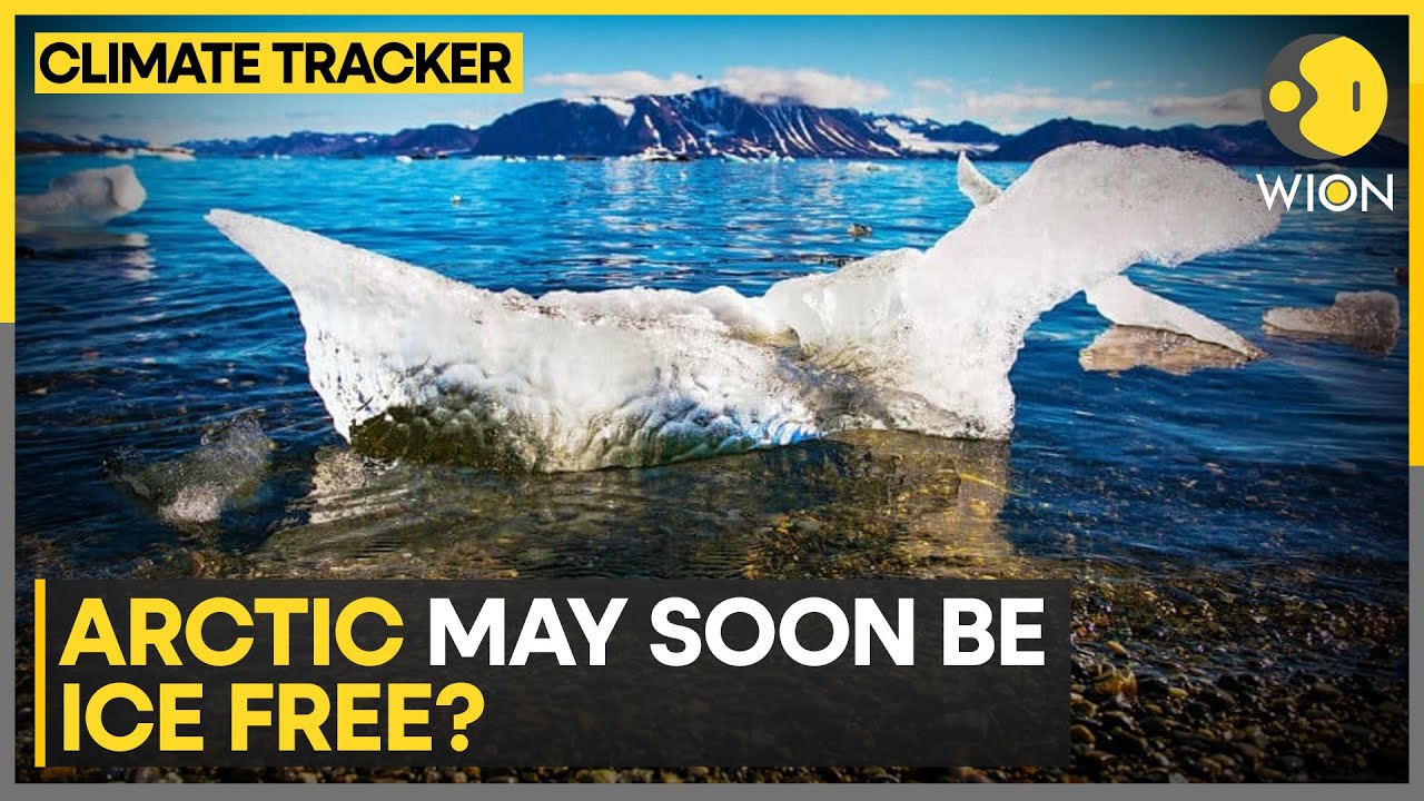 The Arctic will be ice-free in only a few more years: Study | WION Climate Tracker