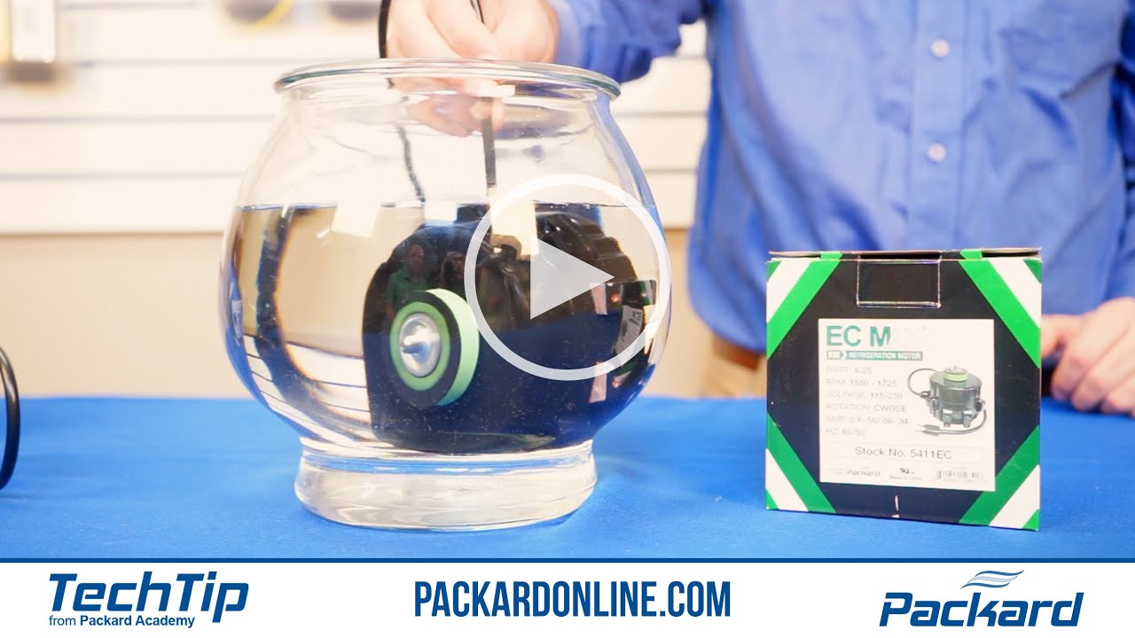 Is Your Motor Waterproof? EC MAX Motor Underwater Test