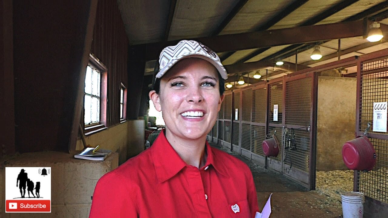 American Quarter Horse Shopping @ 2019 Return To The Remuda Sale