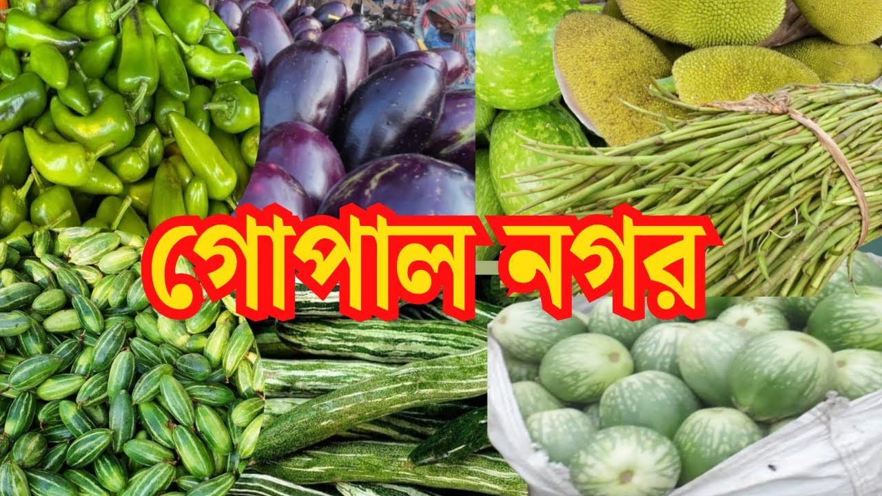 গোপালনগর হাটে সবজির দাম কেমন | Gopalnagar Sobjir Haat | Wholesale Vegetable Market in Kolkata |