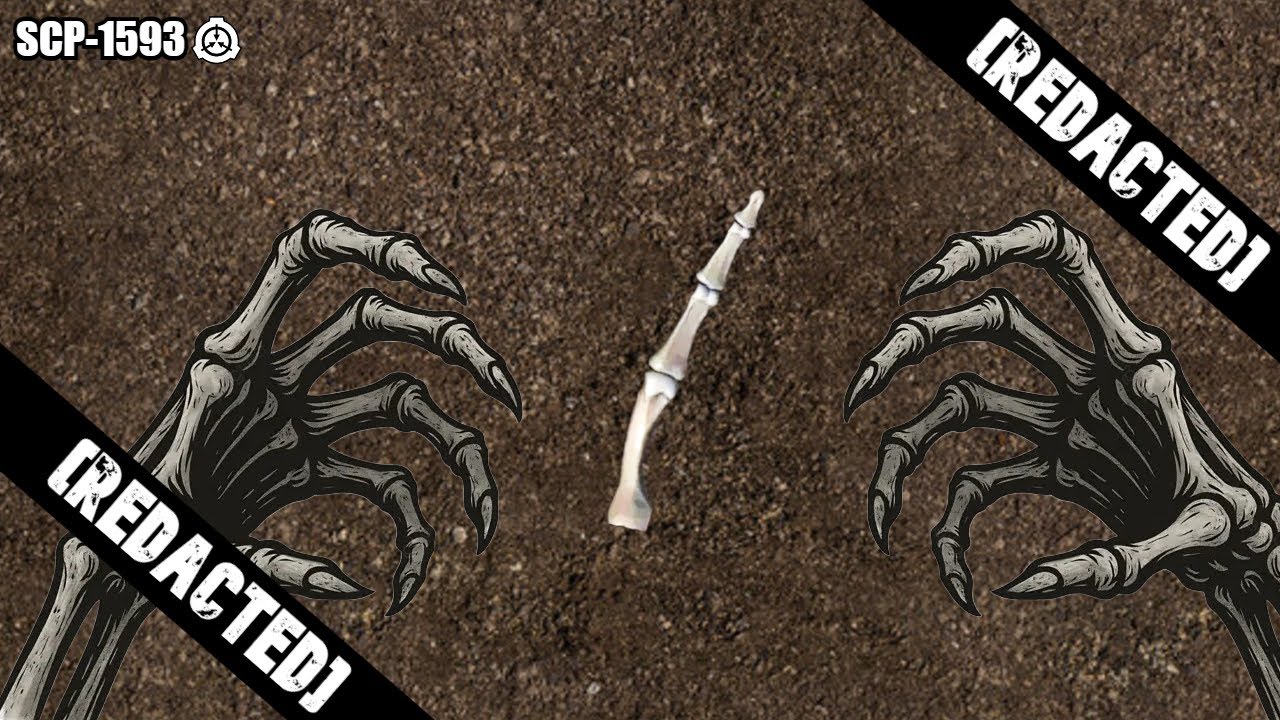 SCP-1593 