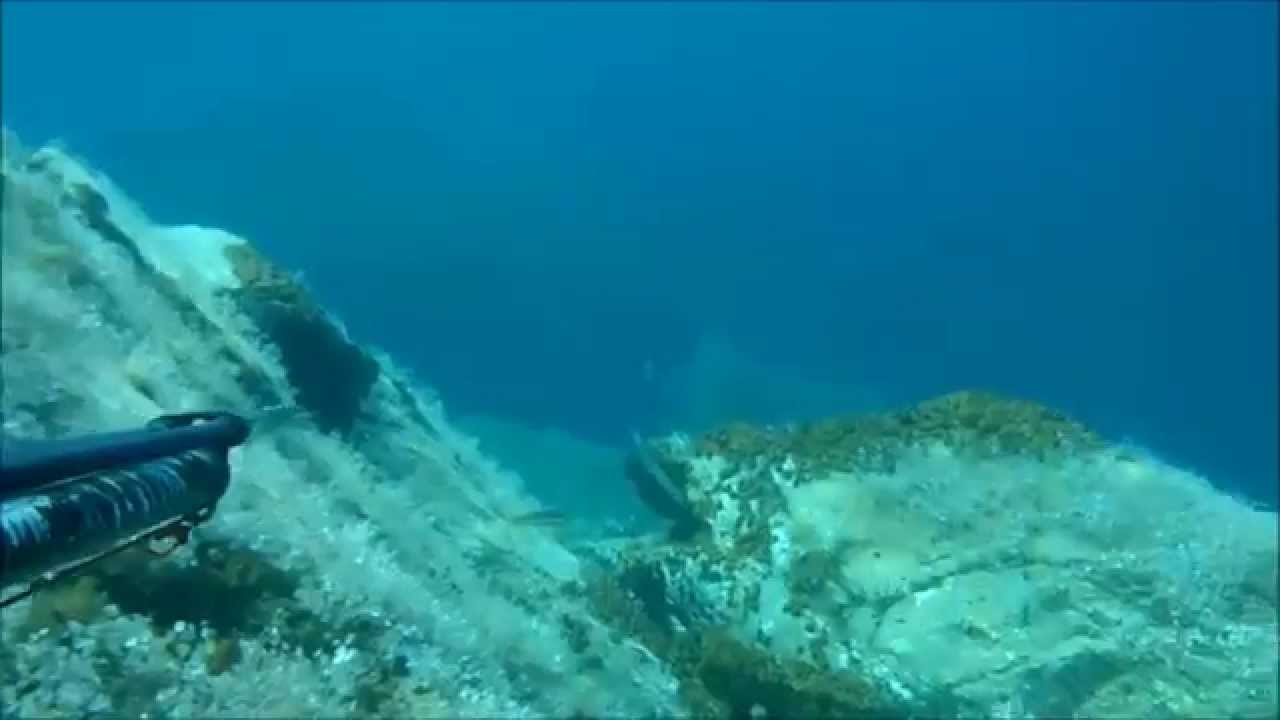 SPEARFISHING Dendex Dendex