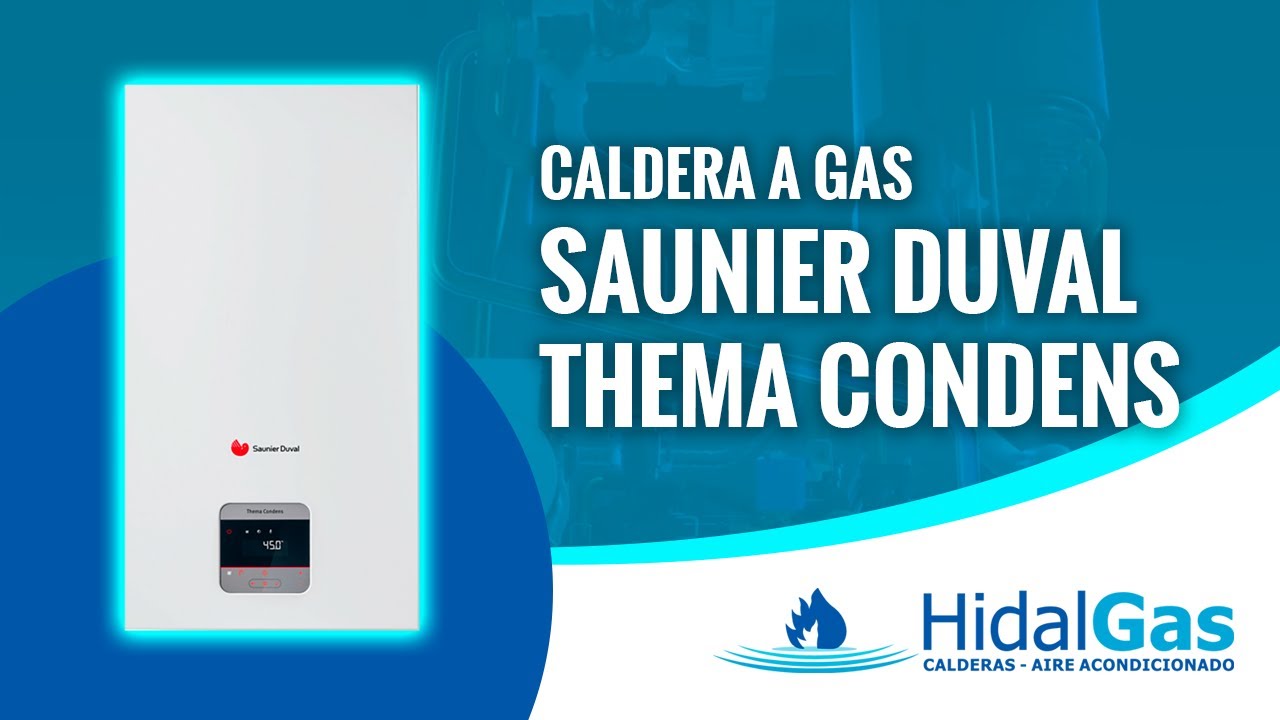 Saunier Duval Thema Condens