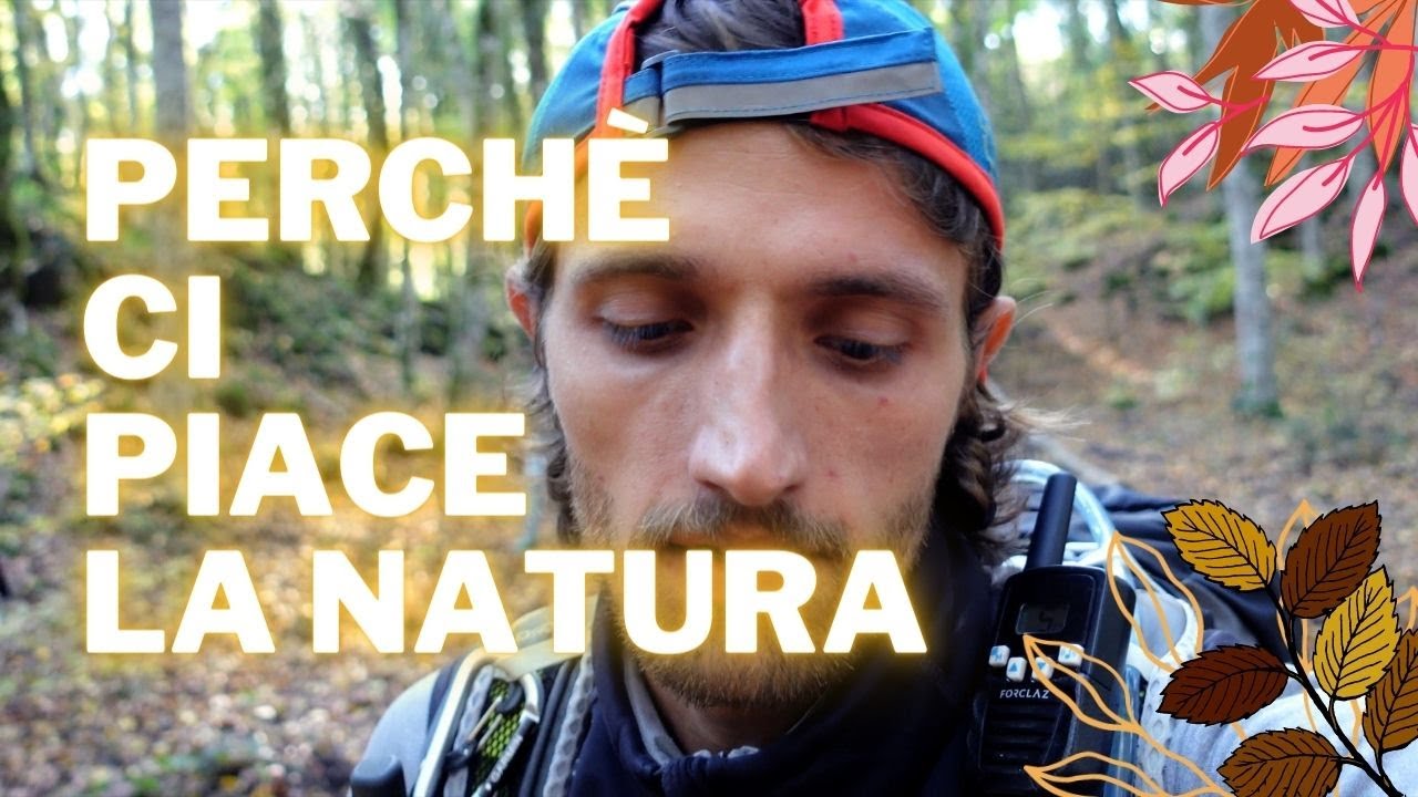 TREKKING con il CANE - Cinov&igrave;a in Foresta Umbra, Dog-Vlog