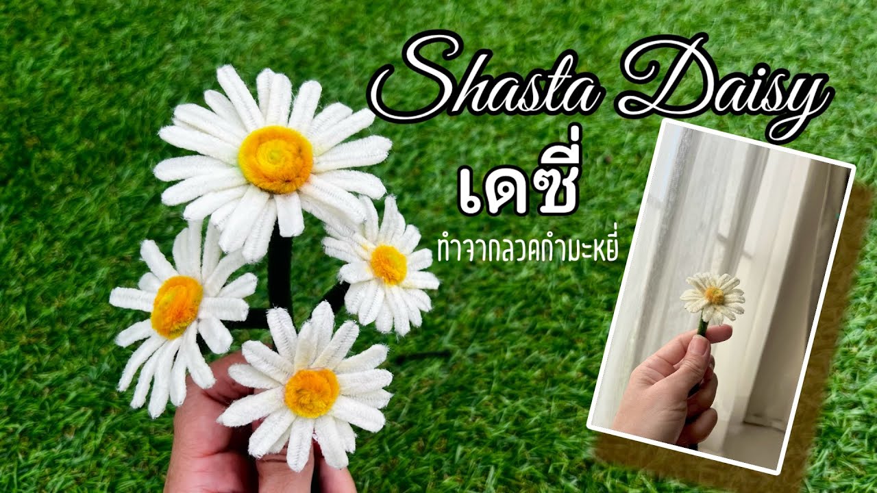 วิธีทำดอกเดซี่ด้วยลวดกำมะหยี่