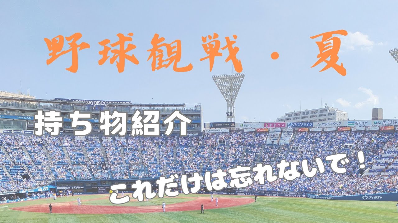 【持ち物紹介】夏の野球観戦は舐めないほうがいい。ほんとに暑い。【熱中症予防】
