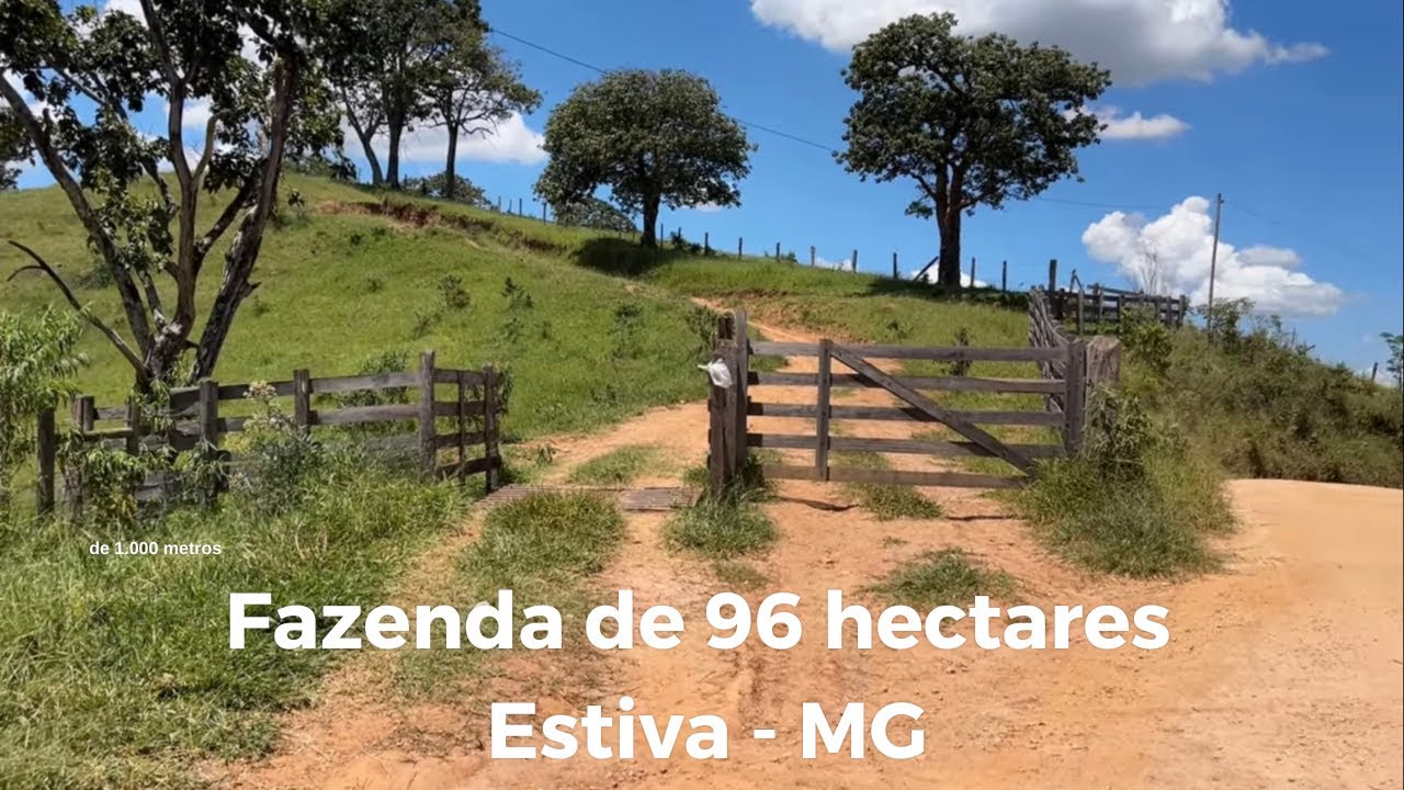 Com terras de Altitude 1.000 metros, com Curral embarcador, ideal para Pecuária leiteira e de corte.