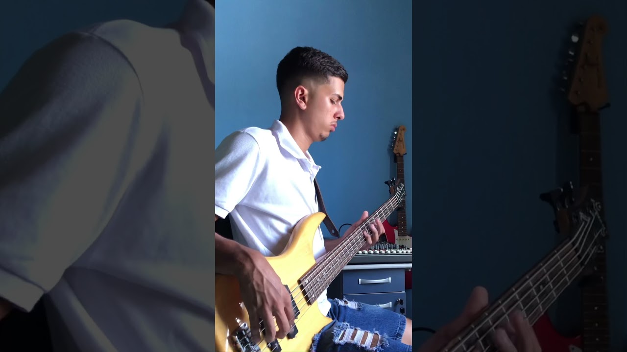 O que Jo&atilde;o viu - bass cover
