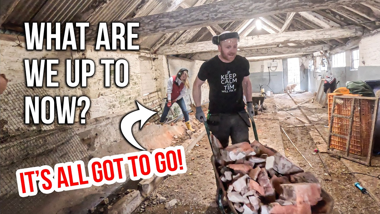 ANOTHER BARN = ANOTHER PROJECT...  Knocking down and starting over!