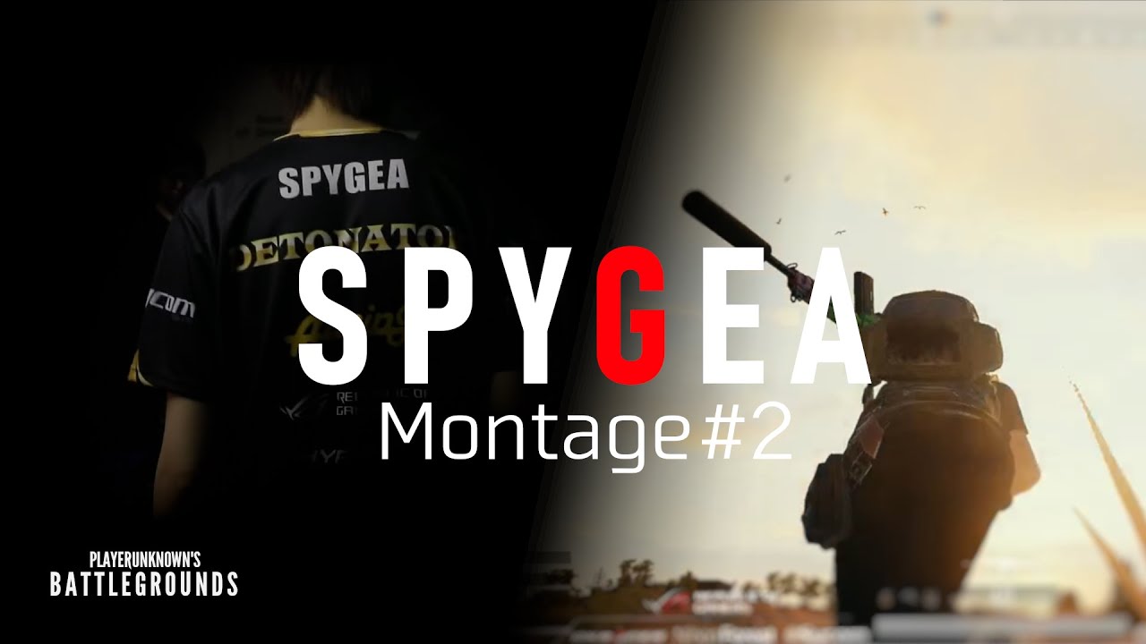 SPYGEA Montage#2
