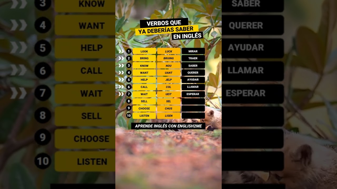 Top 10 VERBOS m&aacute;s usados en INGL&Eacute;S