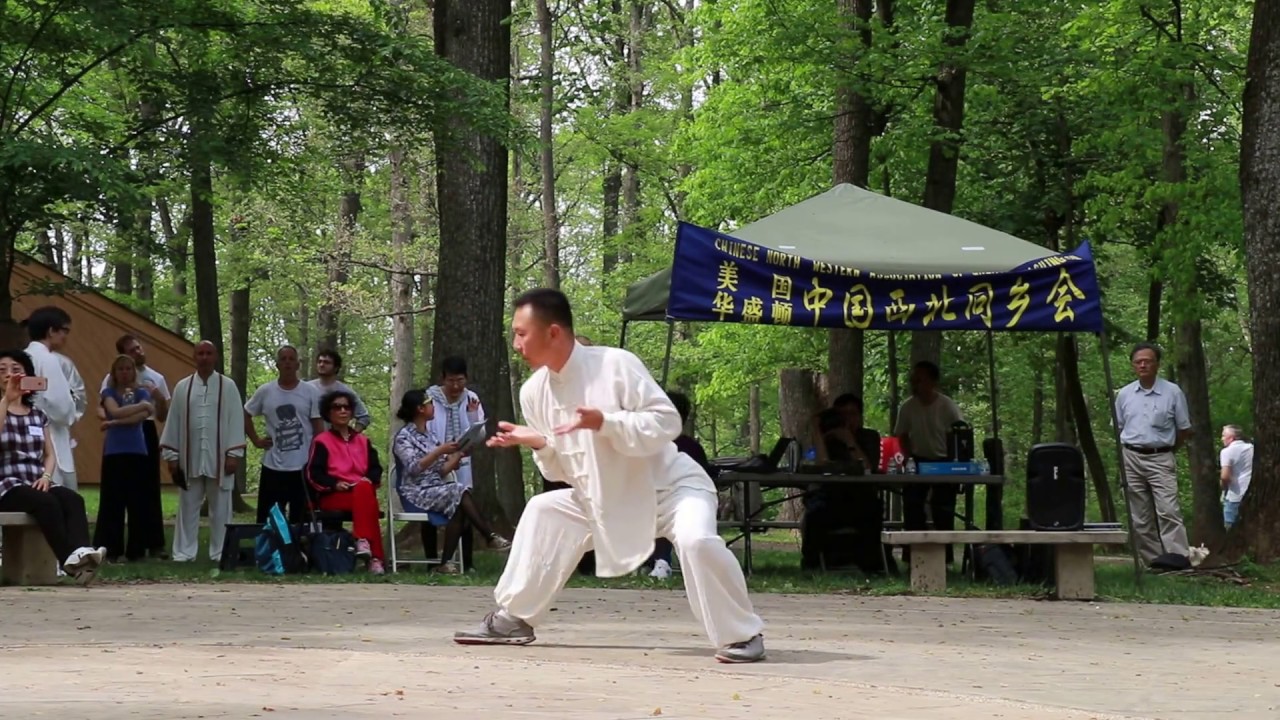 Hong (Chen) Taijiquan - Ma Yong