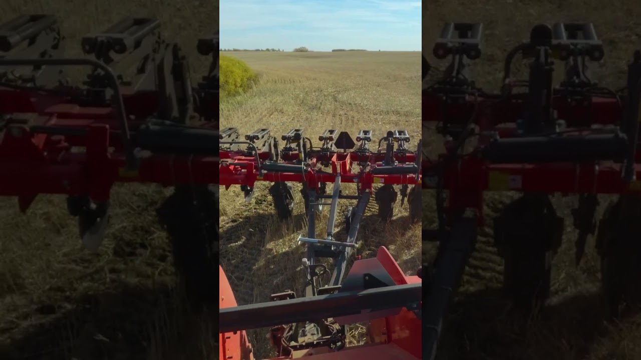 Shank and Points options on the Wil Rich 357 Inline Ripper #shanks #points #tillage #deepcompaction
