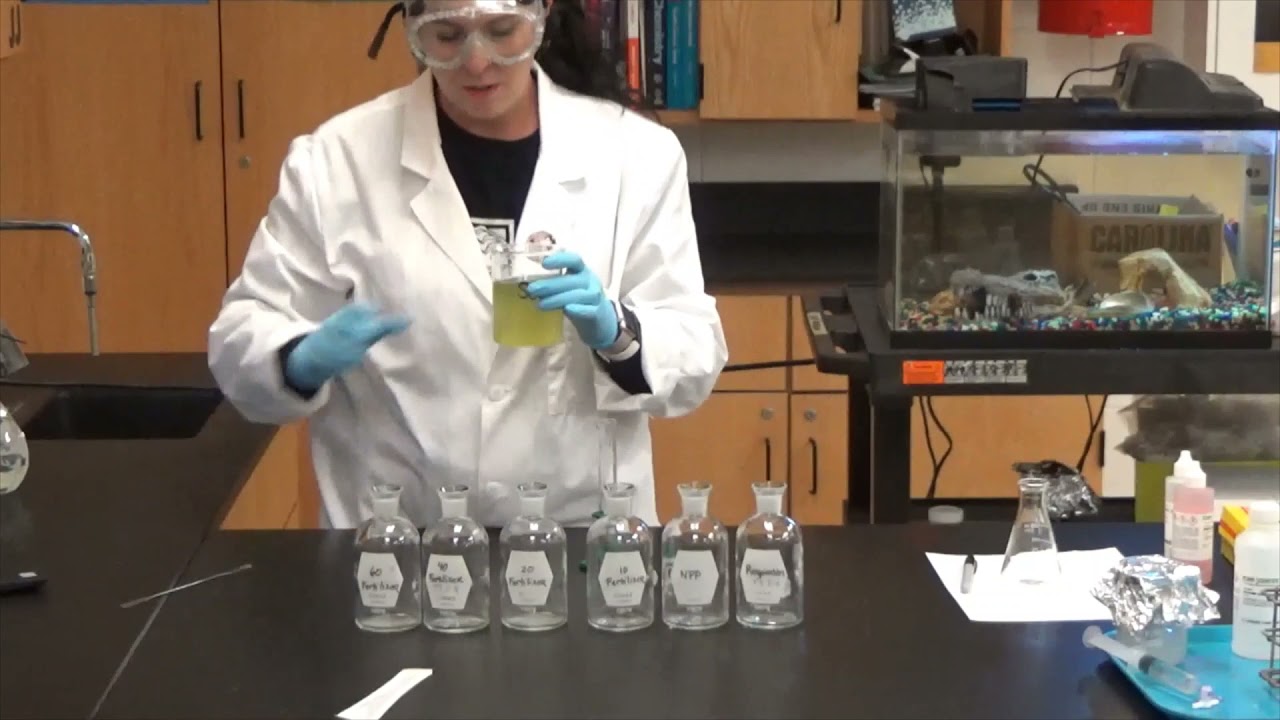 Day 1 Modeling Eutrophication Lab
