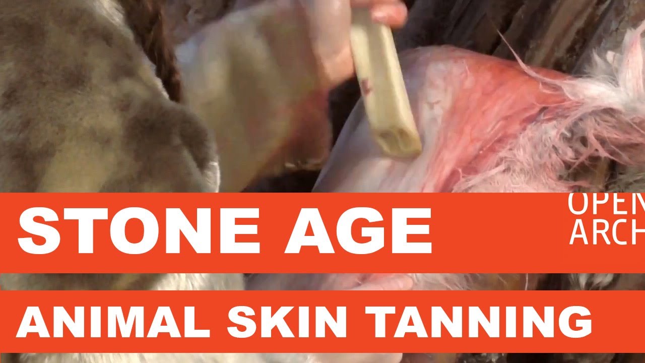 Stone Age Animal Skin Tanning - Nahan Parkitus (OpenARCH)