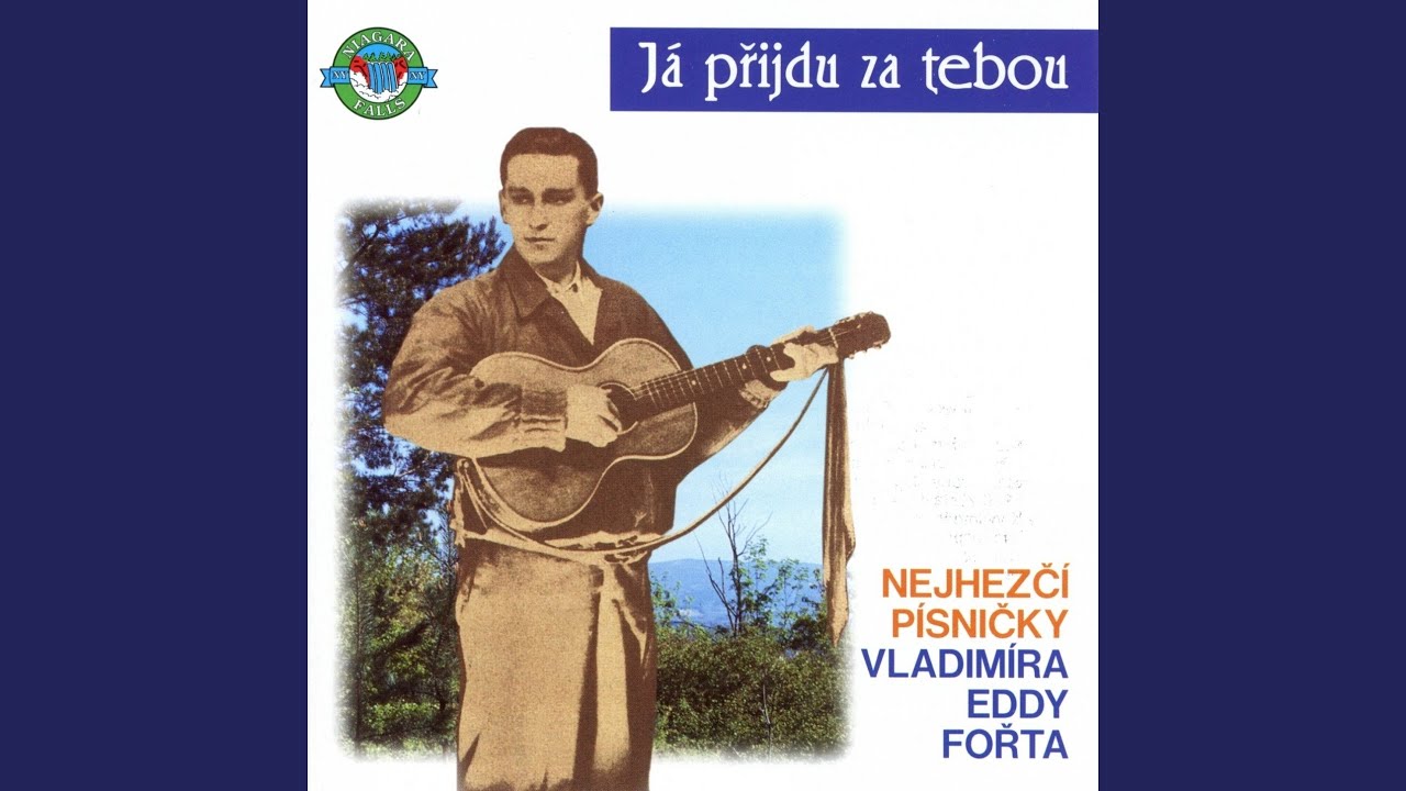 Ve Strážním Koši