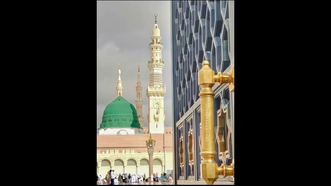 تواترت الأدلة والنقول فما يحصي المصنف مايقول