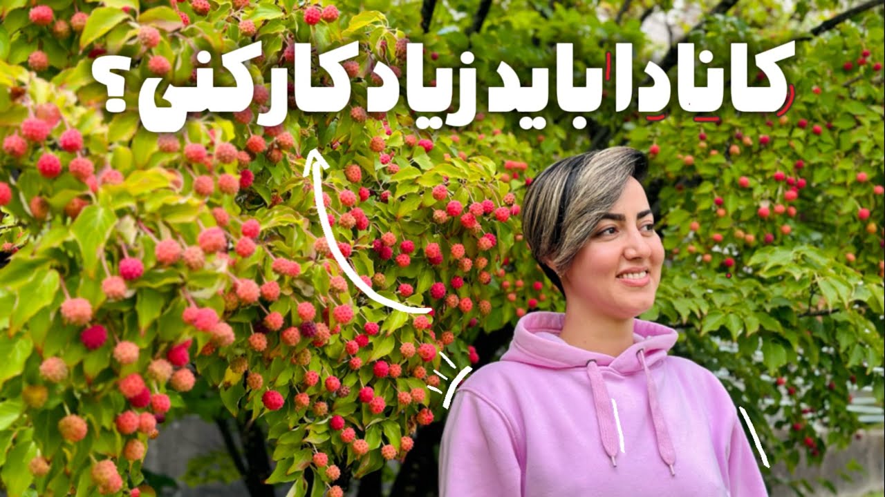 پوستم کنده شد😅👩🏻‍💻💻