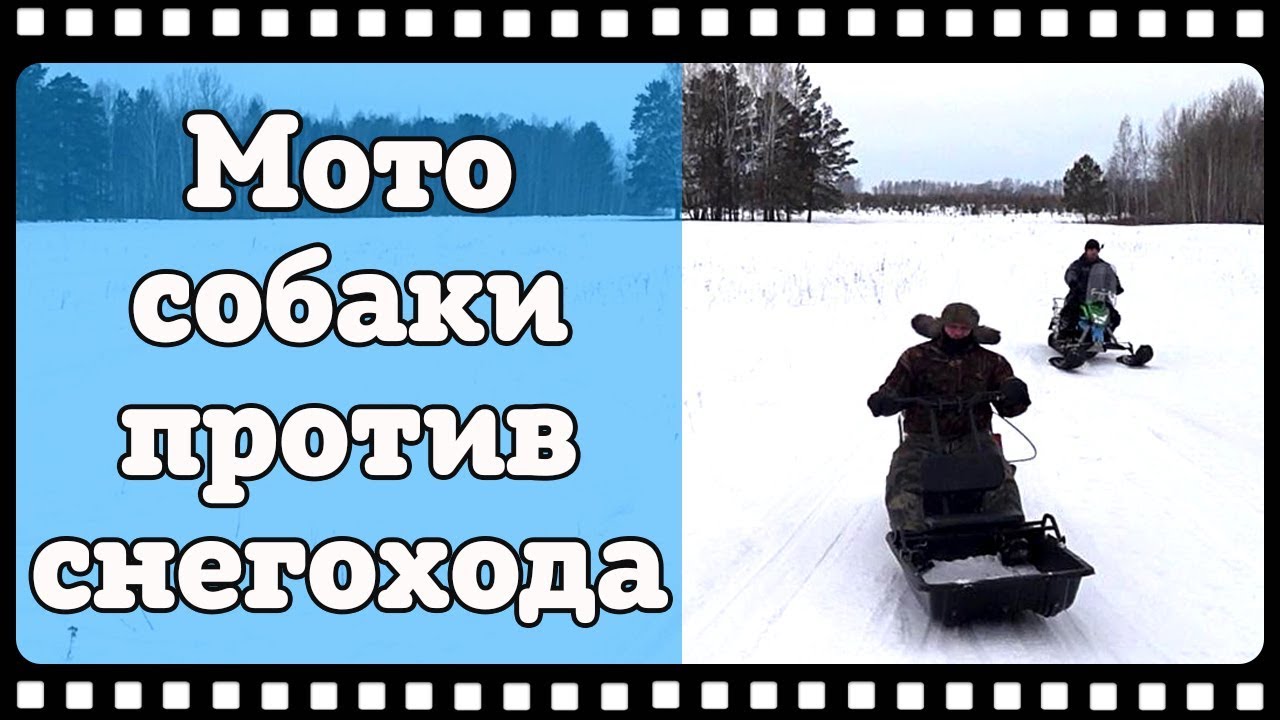 Мотособаки против снегохода. Мотобуксировщики БТС , лыжный модуль, модуль толкач против Ирбис Динго.