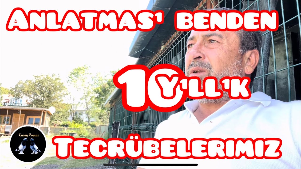 DOĞRULARI SÖYLEMEYE DEVAM #oyunkuşu #taklacı #güvercin
