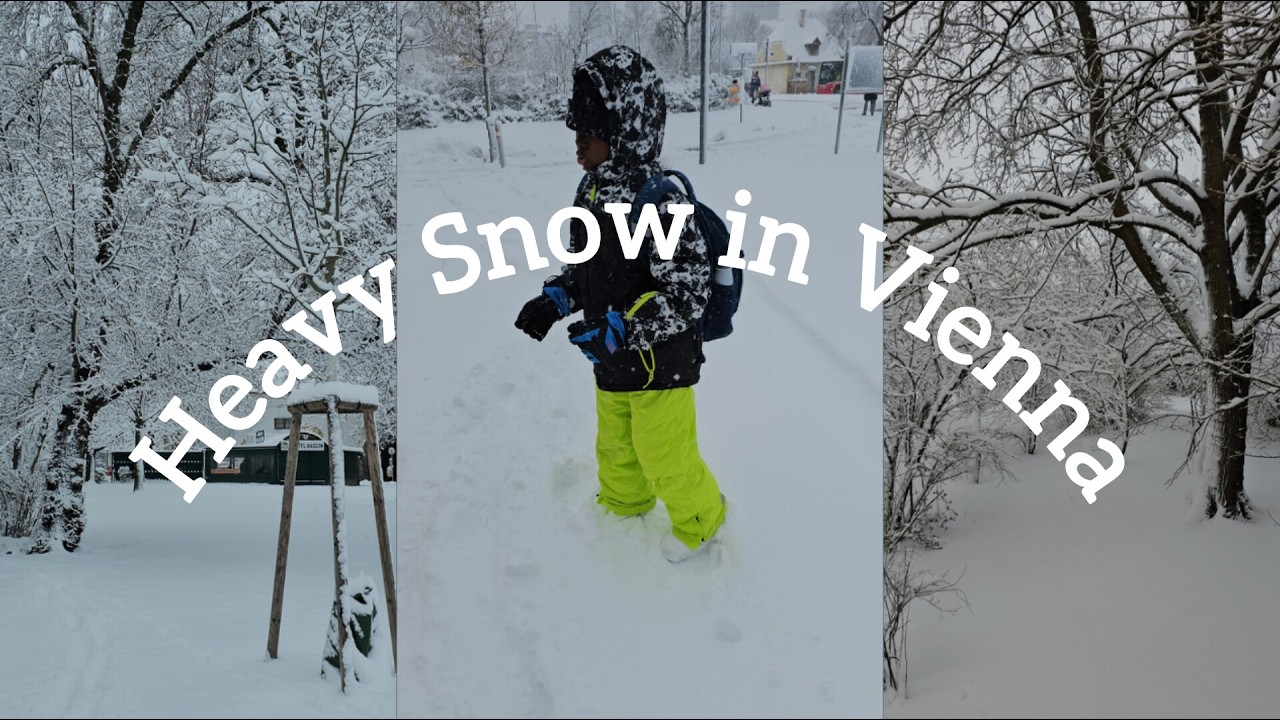 Heavy Snow in Vienna