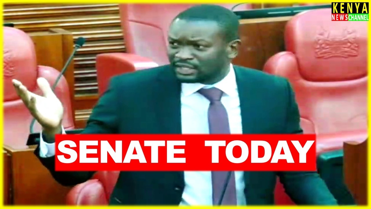 ANGRY Senator Sifuna ROARS in Senate after Goons attempted to Block Linda Mwananchi Kisumu Airport