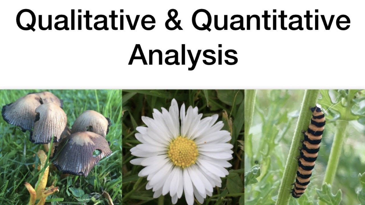 Qualitative & Quantitative Analysis-Ecology Leaving Cert Biology