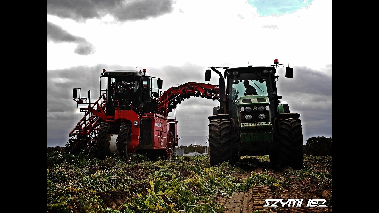 Wielki zbiór marchwi i pietruszki w Dzida Produkt 2016 - 2x Dewulf || 7x John Deere || Claas || JCB