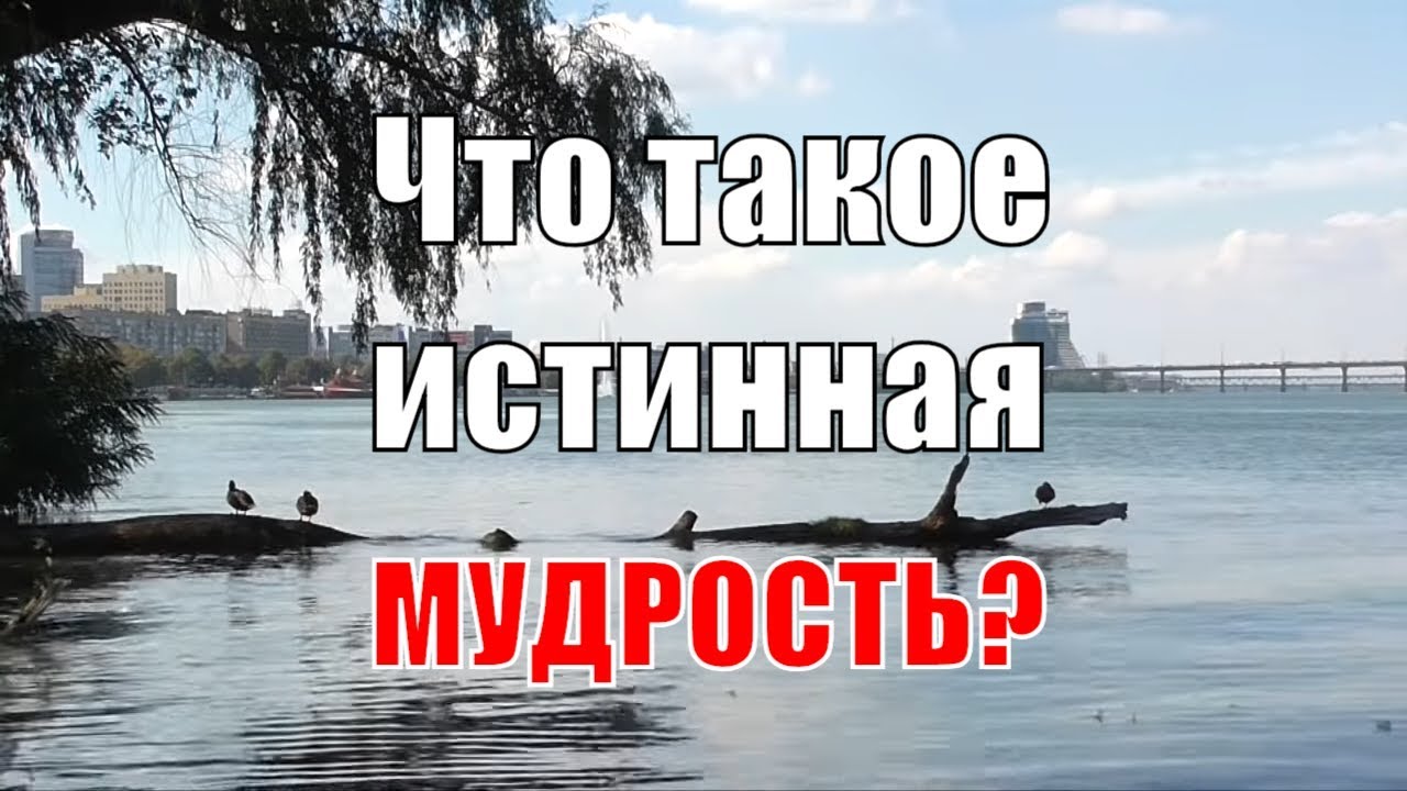 Истинная мудрость: разгадка, которую вы не ожидали!