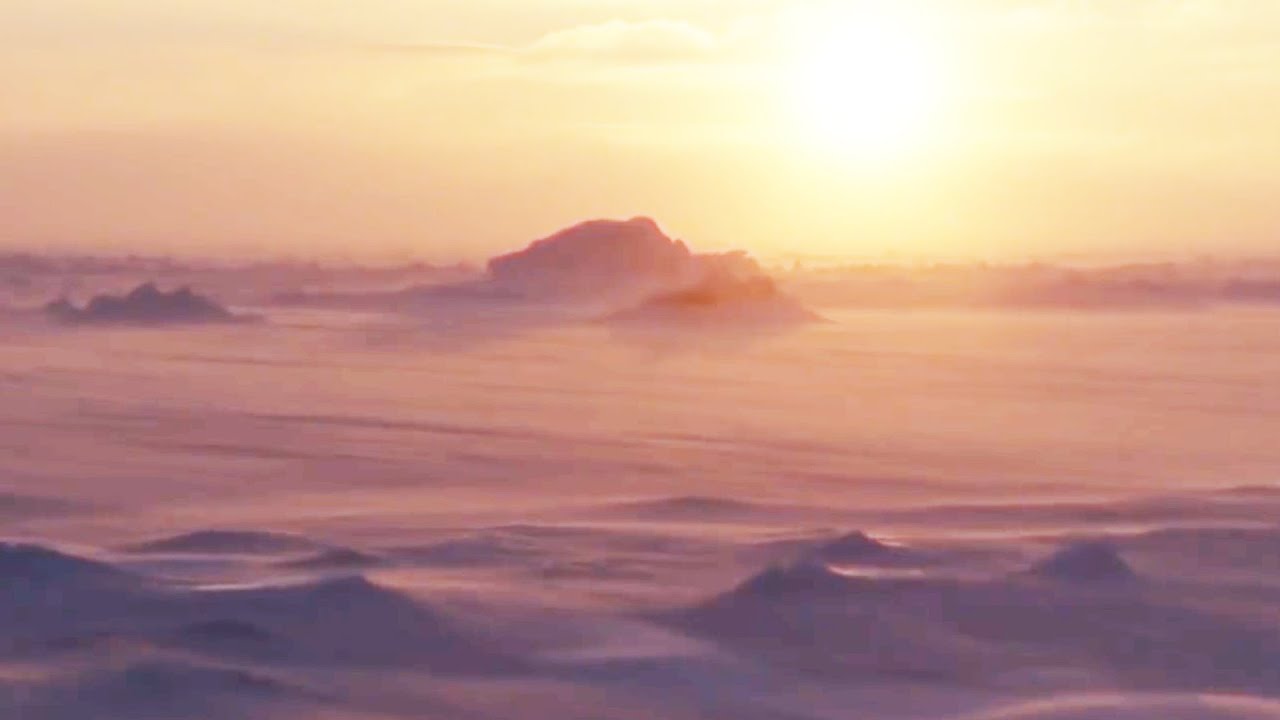 A Collection Of Spring Moments | BBC Earth